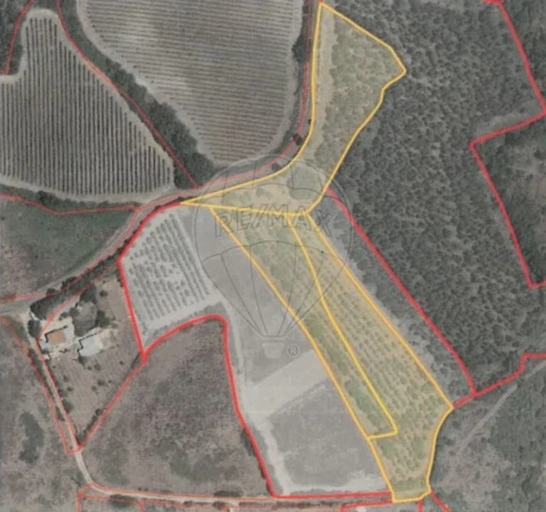 Terreno para Venda em Dois Portos e Runa Foto 6