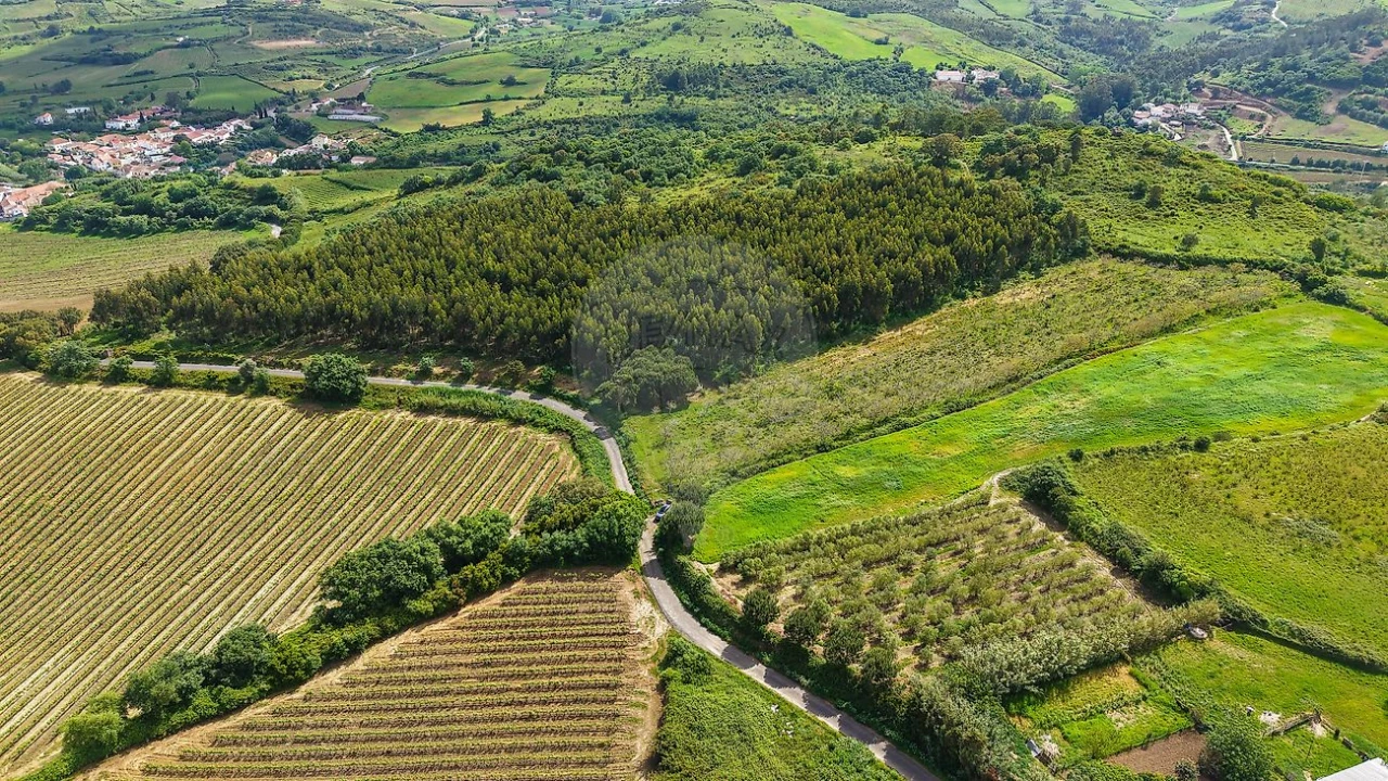 Terreno para Venda em Dois Portos e Runa Foto 3