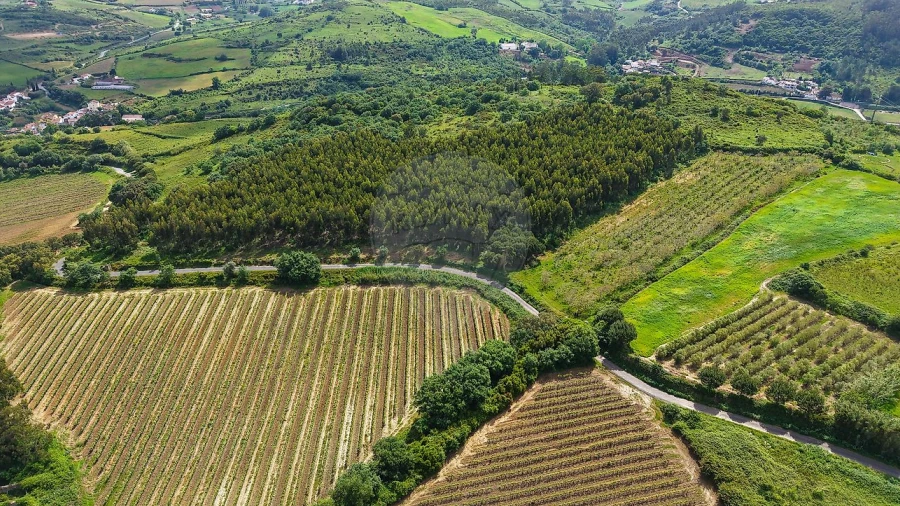 Terreno para Venda em Dois Portos e Runa