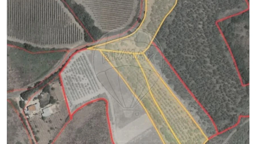 Terreno para Venda em Dois Portos e Runa