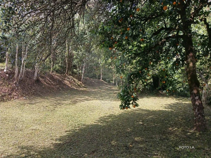 Terreno para Venda em Torres do Mondego Foto 6