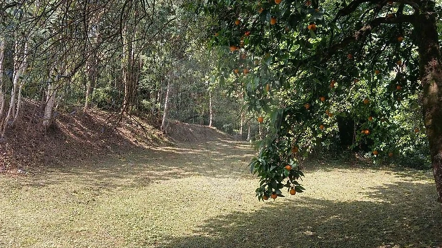 Terreno para Venda em Torres do Mondego