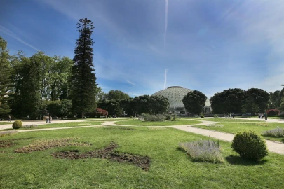 Negócio para Venda em Lordelo do Ouro e Massarelos