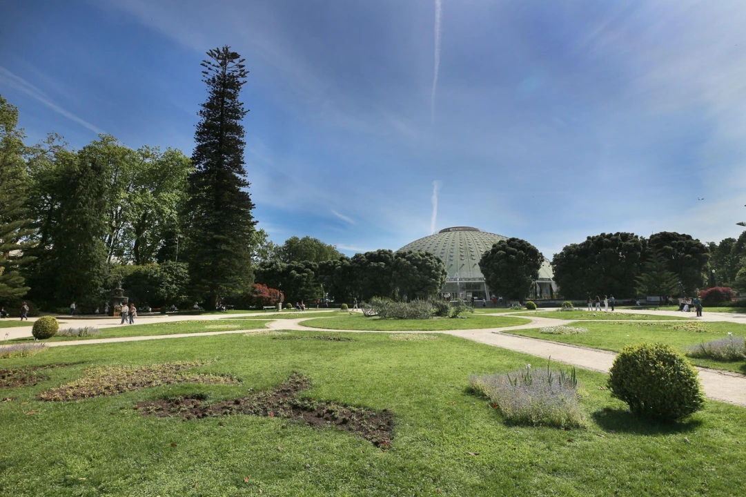 Negócio para Venda em Lordelo do Ouro e Massarelos Foto 13