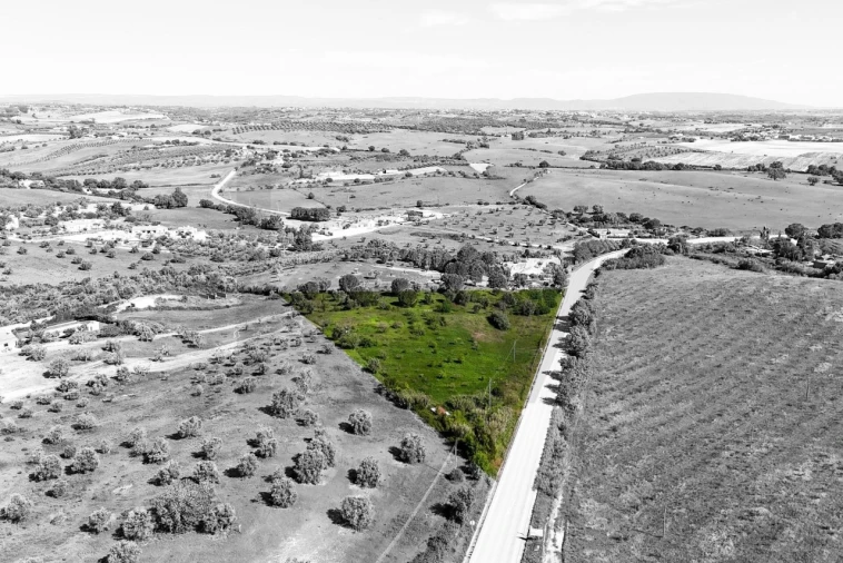 Armazém para Venda em Achete, Azoia de Baixo e Póvoa de Santarém Foto 3