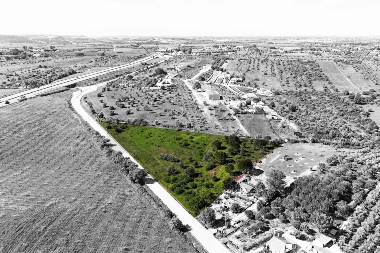 Armazém para Venda em Achete, Azoia de Baixo e Póvoa de Santarém Foto 7