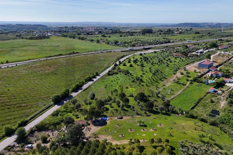 Armazém para Venda em Achete, Azoia de Baixo e Póvoa de Santarém Foto 10