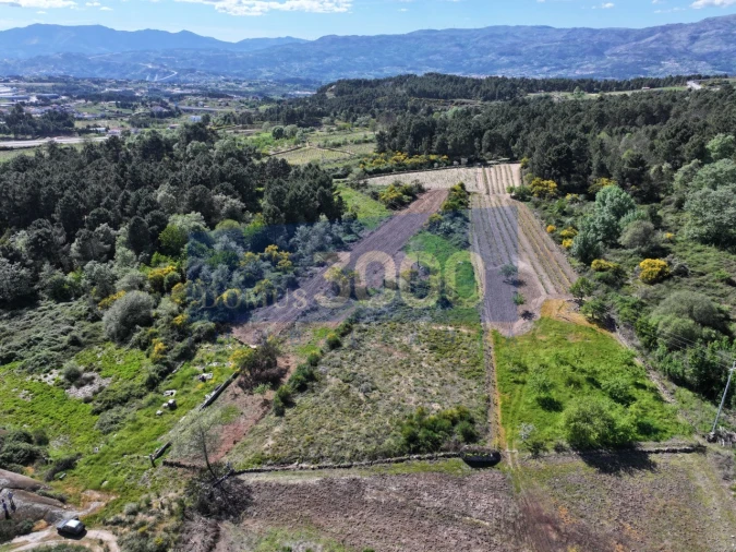 Terreno para Venda em Constantim e Vale de Nogueiras Foto 2