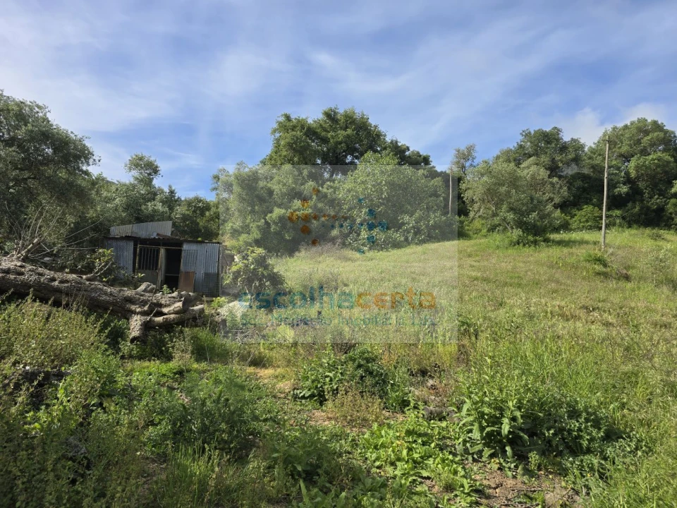 Terreno para Venda em União das Freguesias de Setúbal Foto 10