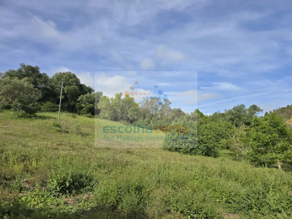 Terreno para Venda em União das Freguesias de Setúbal Foto 3