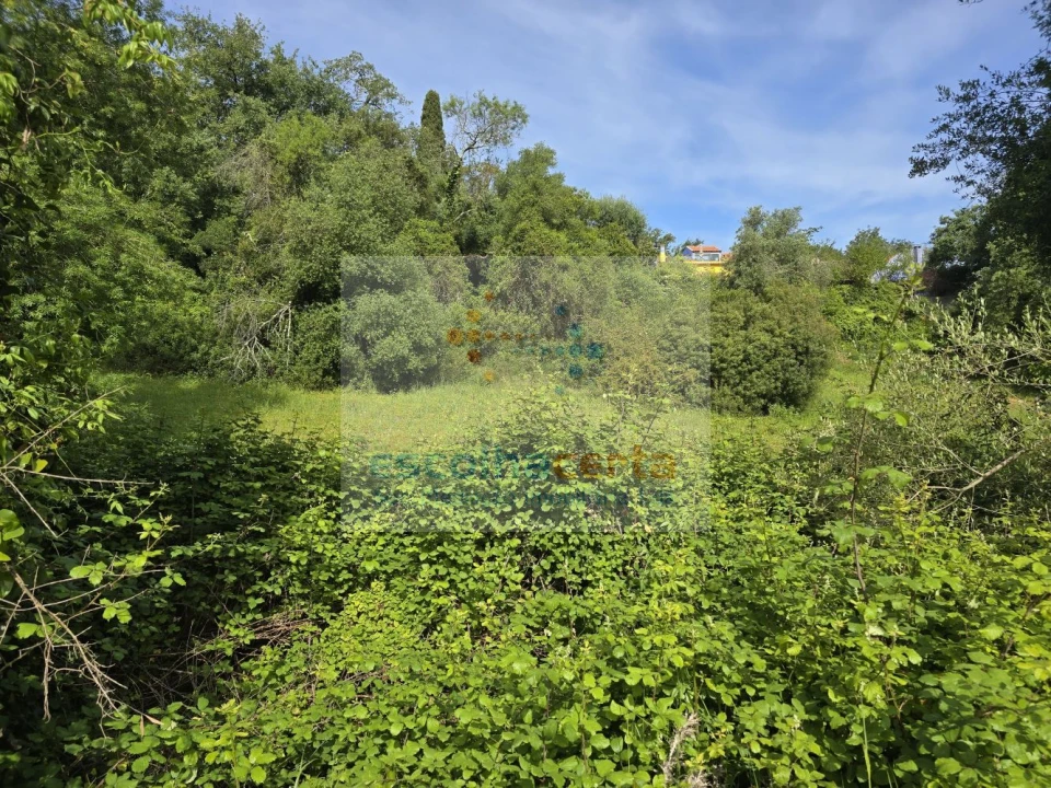 Terreno para Venda em União das Freguesias de Setúbal Foto 13
