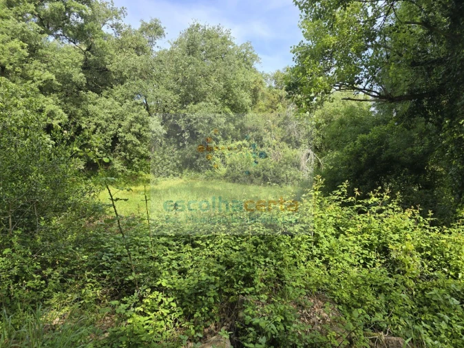 Terreno para Venda em União das Freguesias de Setúbal Foto 14