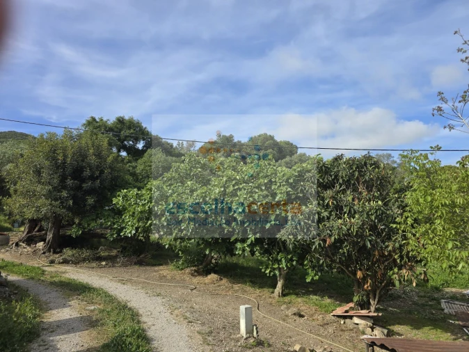 Terreno para Venda em União das Freguesias de Setúbal Foto 2