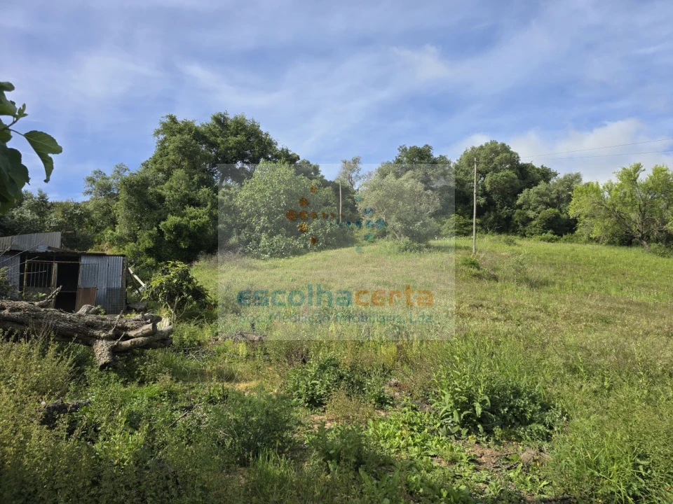 Terreno para Venda em União das Freguesias de Setúbal Foto 5
