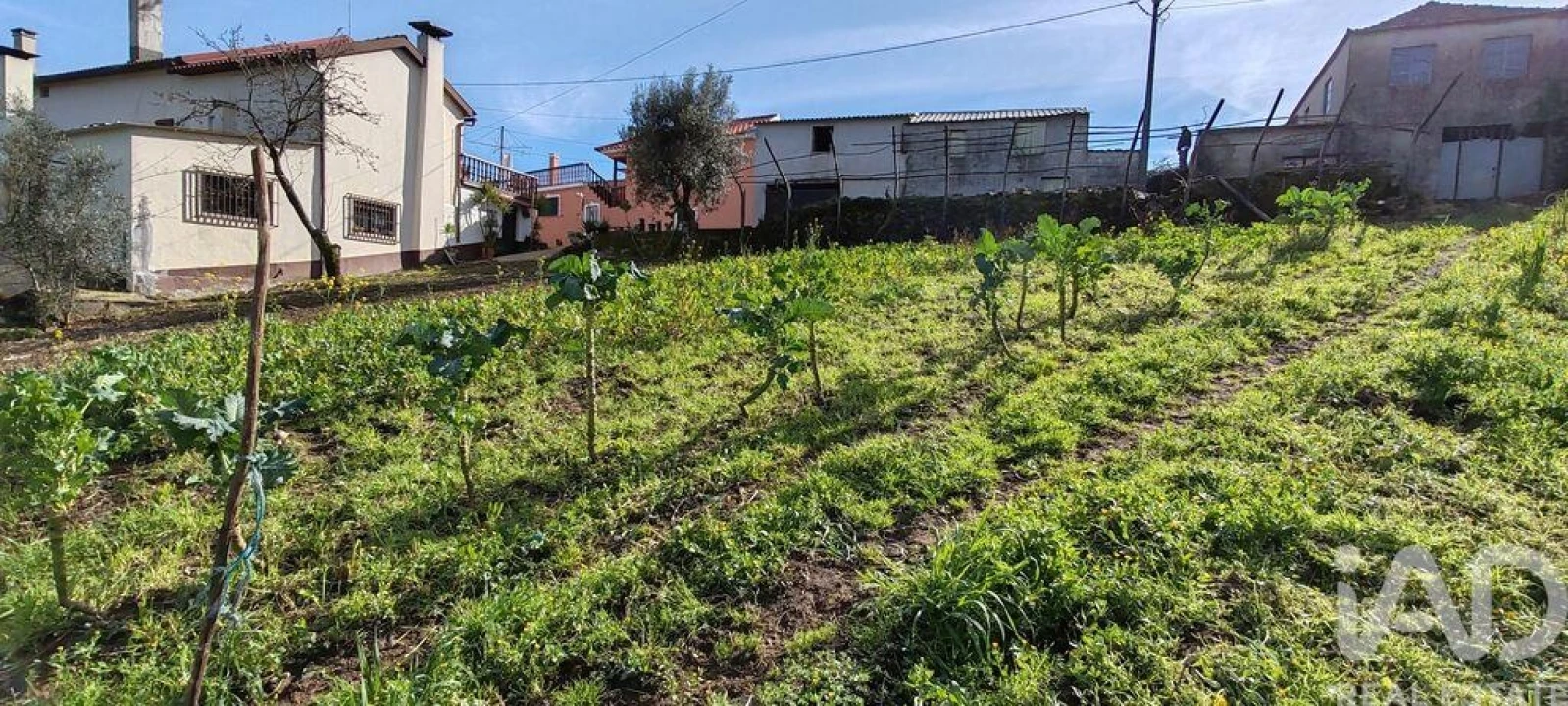 Terreno para Venda em Aguda Foto 20