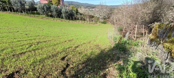 Terreno para Venda em Aguda