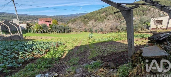 Terreno para Venda em Aguda