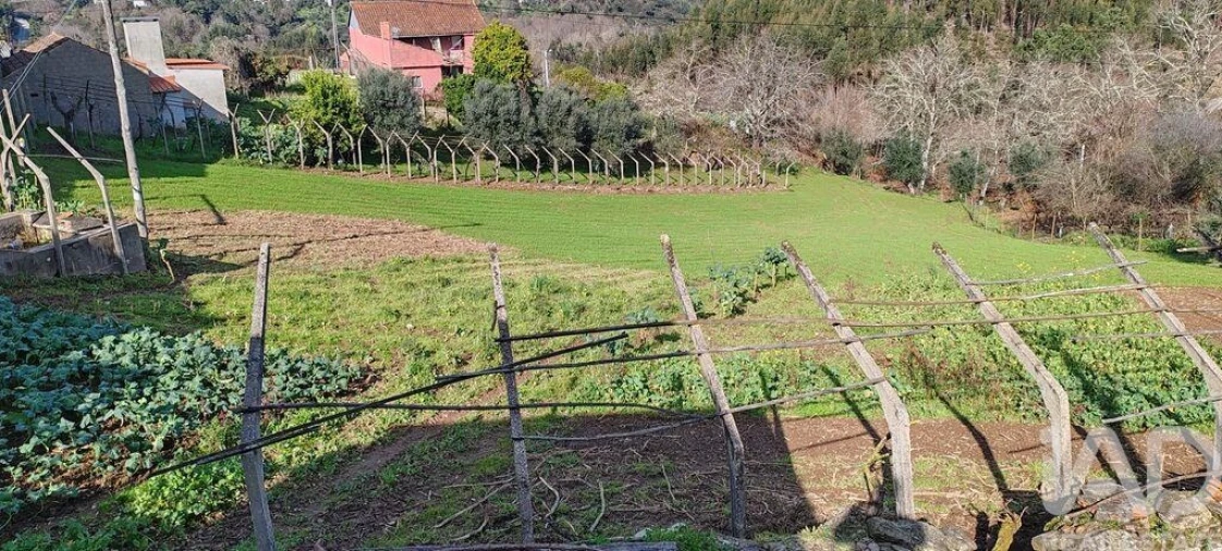 Terreno para Venda em Aguda Foto 7
