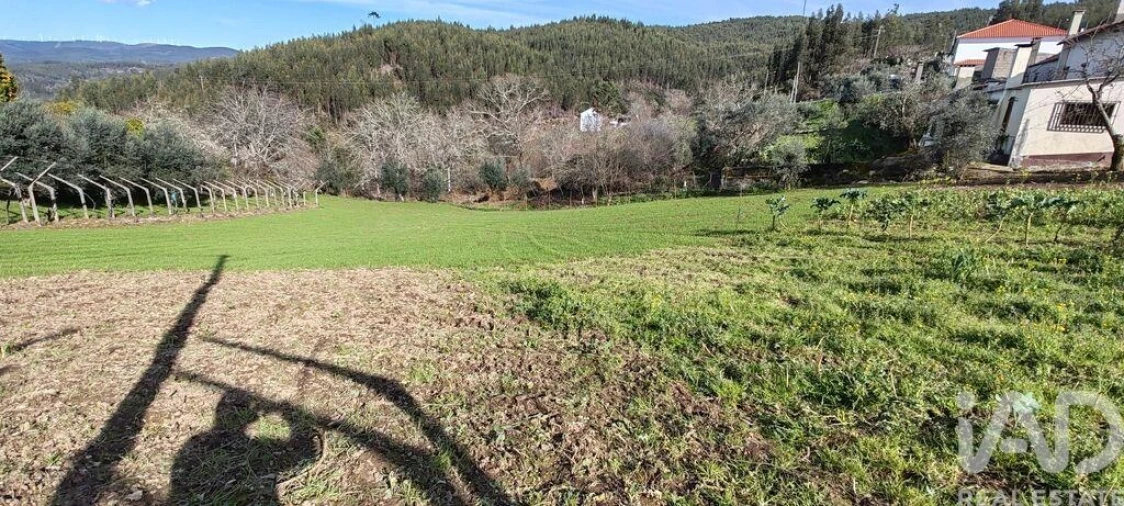 Terreno para Venda em Aguda Foto 21