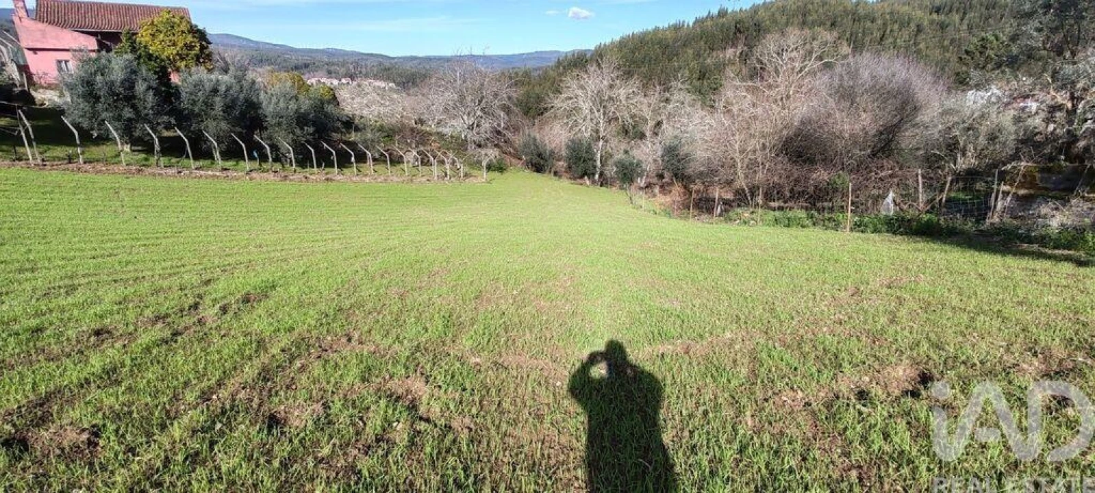 Terreno para Venda em Aguda Foto 18