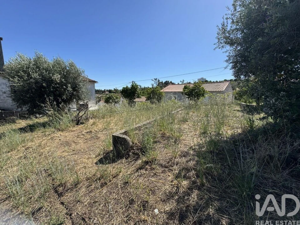 Terreno para Venda em São João Baptista e Santa Maria dos Olivais Foto 10