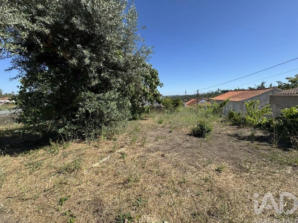 Terreno para Venda em São João Baptista e Santa Maria dos Olivais Foto 14