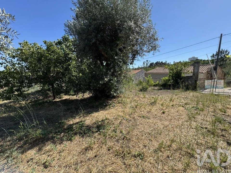 Terreno para Venda em São João Baptista e Santa Maria dos Olivais Foto 13