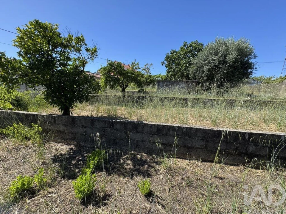 Terreno para Venda em São João Baptista e Santa Maria dos Olivais Foto 8