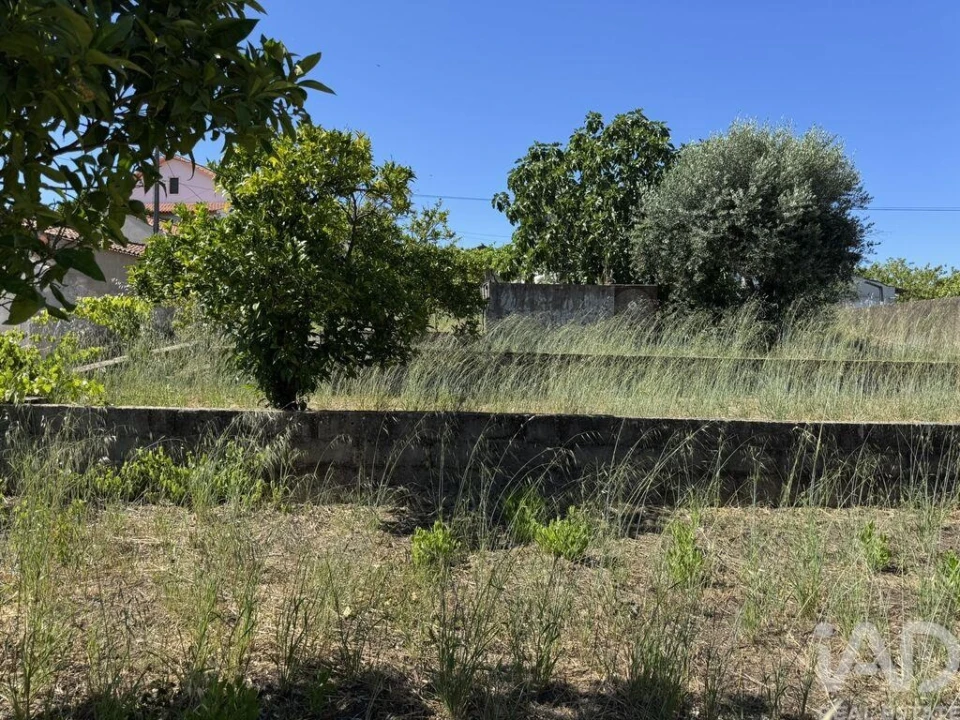 Terreno para Venda em São João Baptista e Santa Maria dos Olivais Foto 6