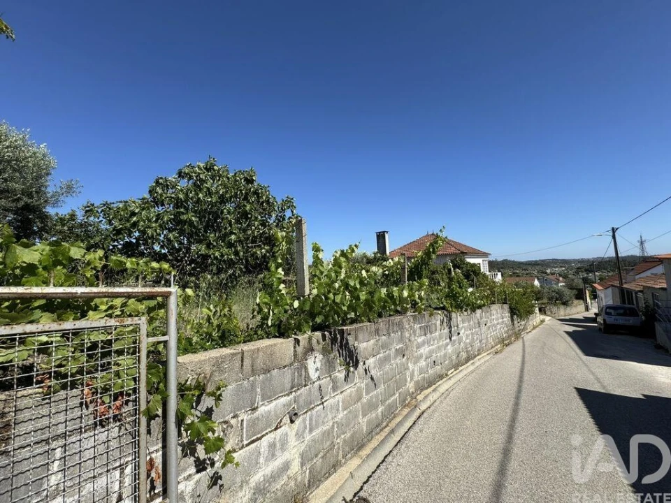 Terreno para Venda em São João Baptista e Santa Maria dos Olivais Foto 18