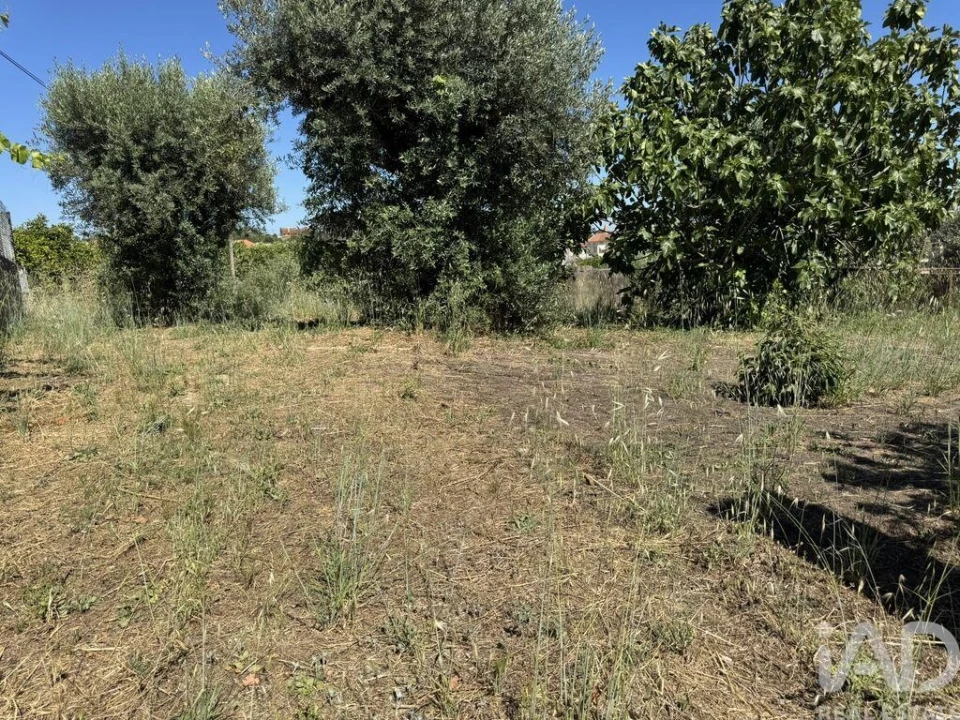 Terreno para Venda em São João Baptista e Santa Maria dos Olivais Foto 15