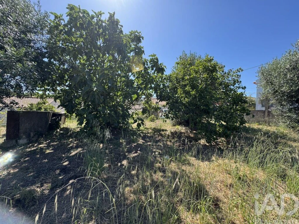 Terreno para Venda em São João Baptista e Santa Maria dos Olivais Foto 11
