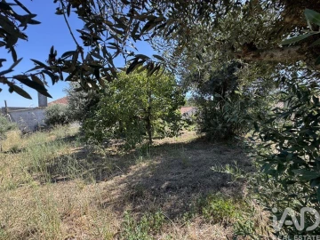 Terreno para Venda em São João Baptista e Santa Maria dos Olivais