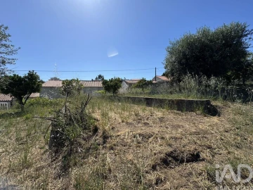 Terreno para Venda em São João Baptista e Santa Maria dos Olivais