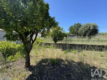 Terreno para Venda em São João Baptista e Santa Maria dos Olivais