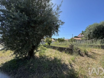 Terreno para Venda em São João Baptista e Santa Maria dos Olivais