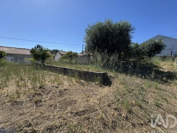 Terreno para Venda em São João Baptista e Santa Maria dos Olivais