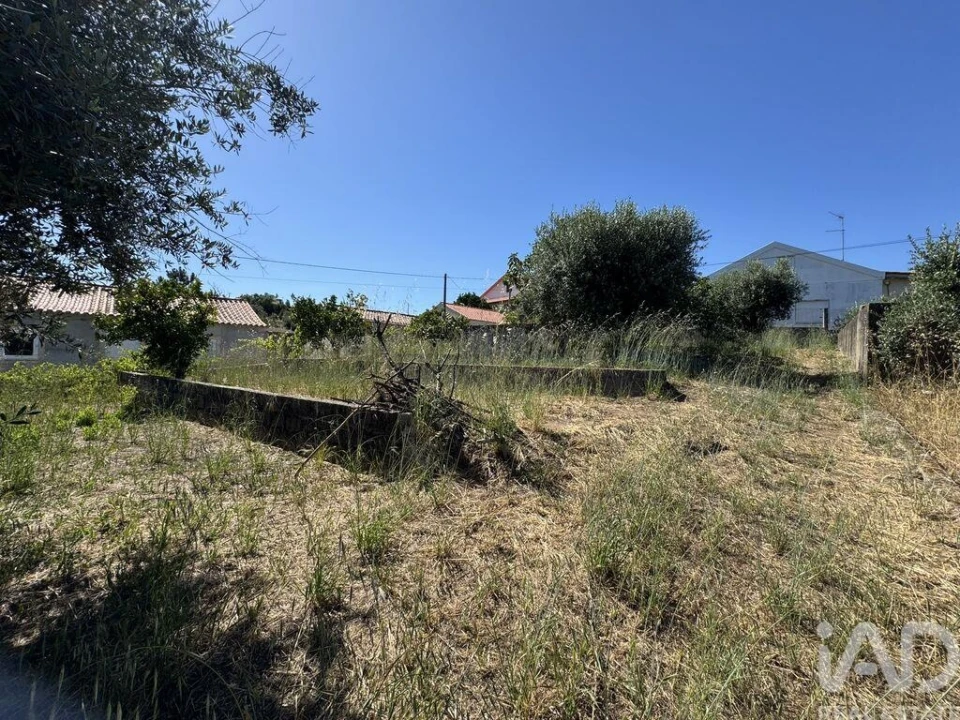 Terreno para Venda em São João Baptista e Santa Maria dos Olivais Foto 3
