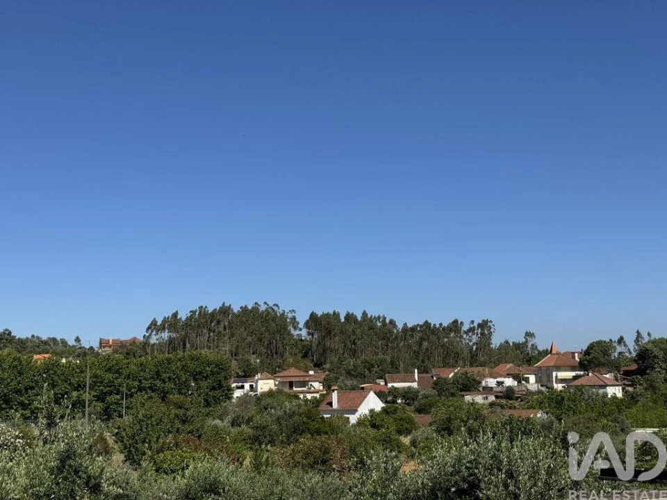 Terreno para Venda em São João Baptista e Santa Maria dos Olivais Foto 22