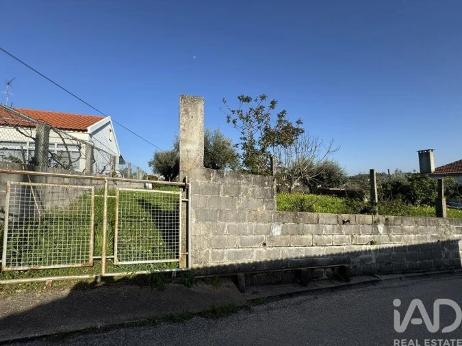 Terreno para Venda em São João Baptista e Santa Maria dos Olivais Foto 3