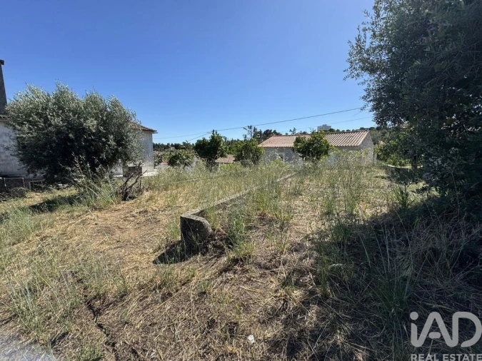 Terreno para Venda em São João Baptista e Santa Maria dos Olivais Foto 10