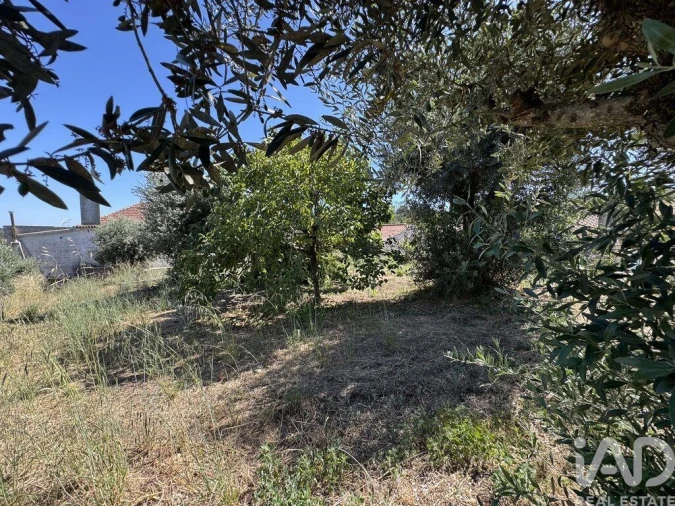 Terreno para Venda em São João Baptista e Santa Maria dos Olivais Foto 12