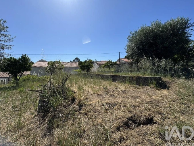 Terreno para Venda em São João Baptista e Santa Maria dos Olivais Foto 4