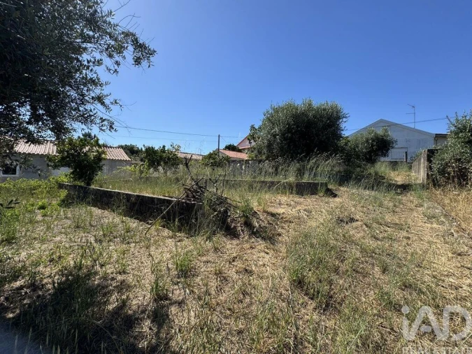 Terreno para Venda em São João Baptista e Santa Maria dos Olivais Foto 3