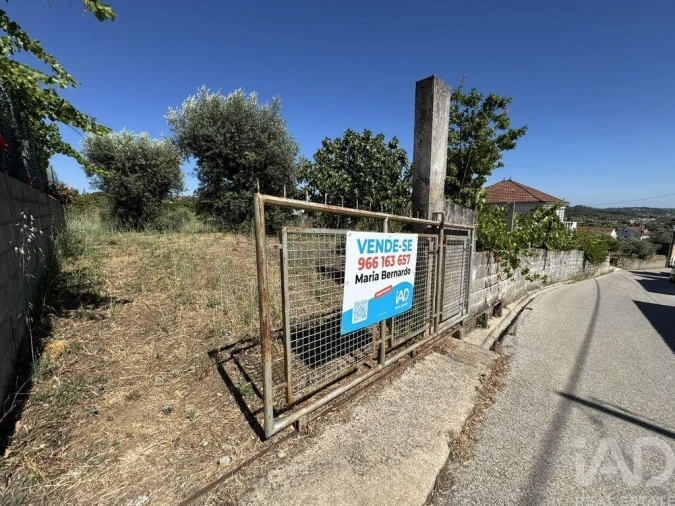 Terreno para Venda em São João Baptista e Santa Maria dos Olivais Foto 19