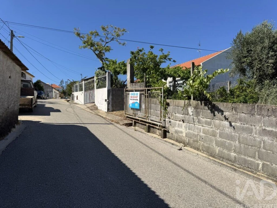 Terreno para Venda em São João Baptista e Santa Maria dos Olivais Foto 20