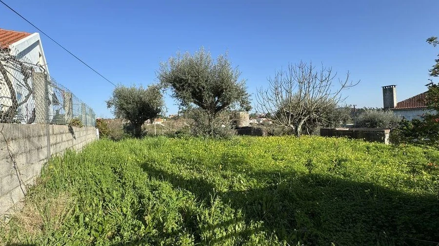 Terreno para Venda em São João Baptista e Santa Maria dos Olivais