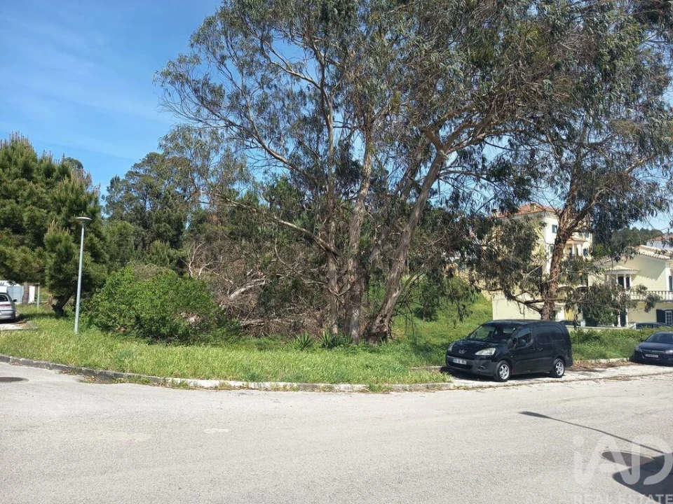 Terreno para Venda em Rio Maior Foto 3