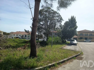 Terreno para Venda em Rio Maior