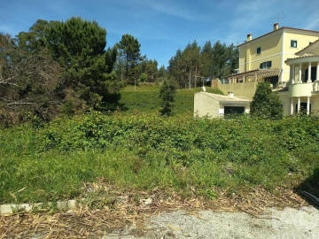 Terreno para Venda em Rio Maior